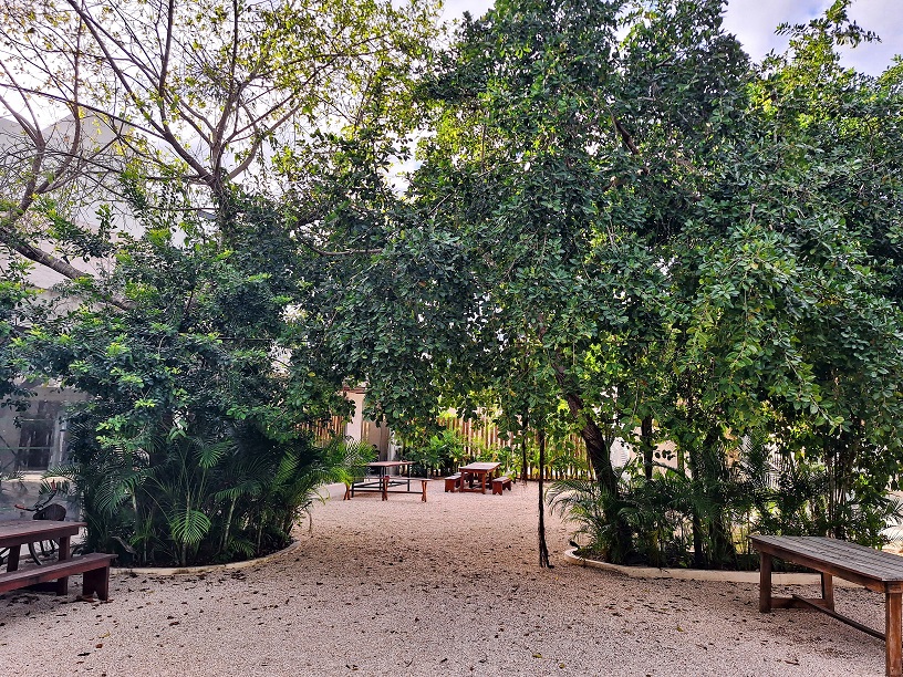 Tribeca Park