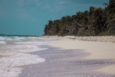 Vitamin sea & Slow life: claves de la salud